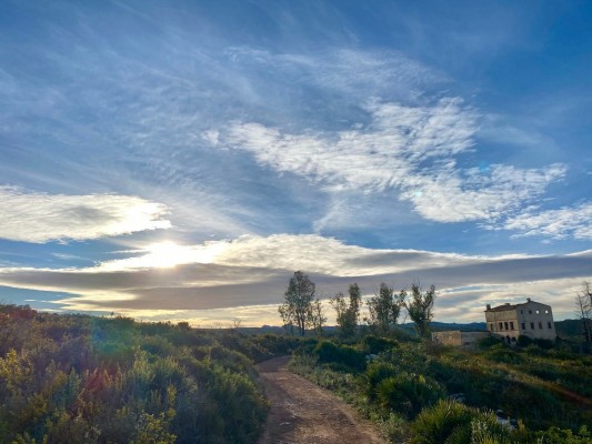 El Supremo confirma la titularidad municipal de la mayoría de caminos del Realenc de Carcaixent