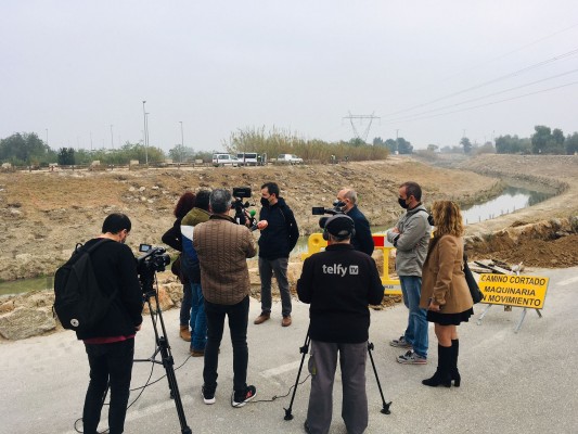 La CHS invertirá 150.000 euros en eliminar el cañaveral del río Segura aguas abajo de Rojales