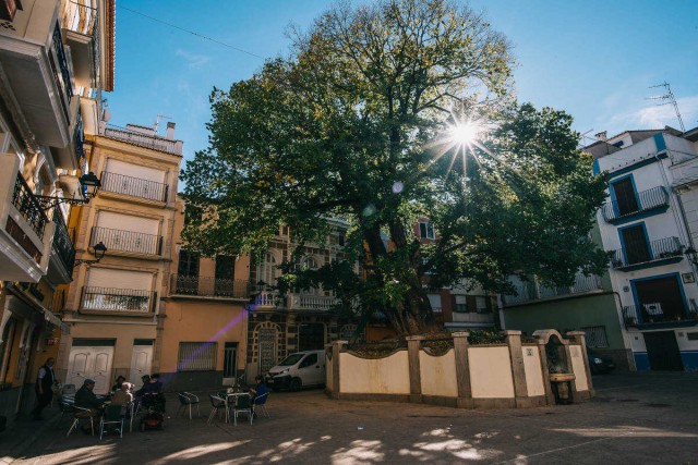 El Consell modifica el Fondo de Cooperación Municipal para ampliar el número de beneficiarios