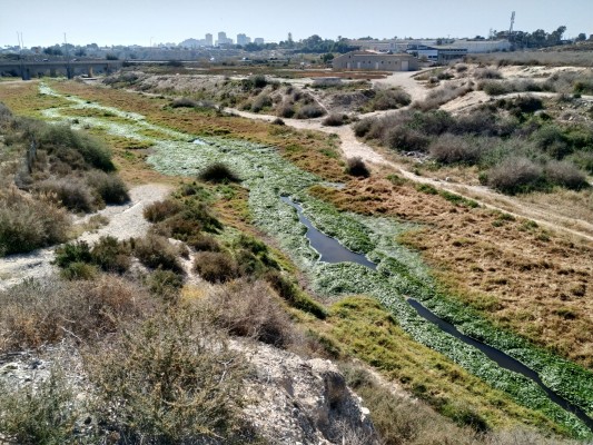 EU propone crear un Plan de Empleo en El Campello para dar trabajo a personas vulnerables