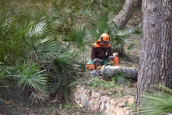 Las brigadas forestales de la Diputació colaboran con la UPV para mejorar la prevención de incendios