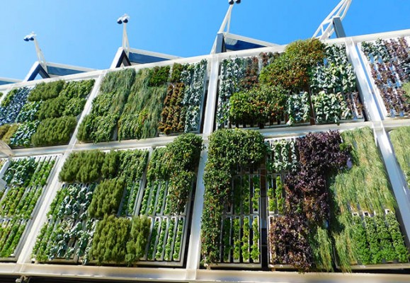 Innotransfer busca soluciones de consumo energético y adaptabilidad para hábitats sostenibles