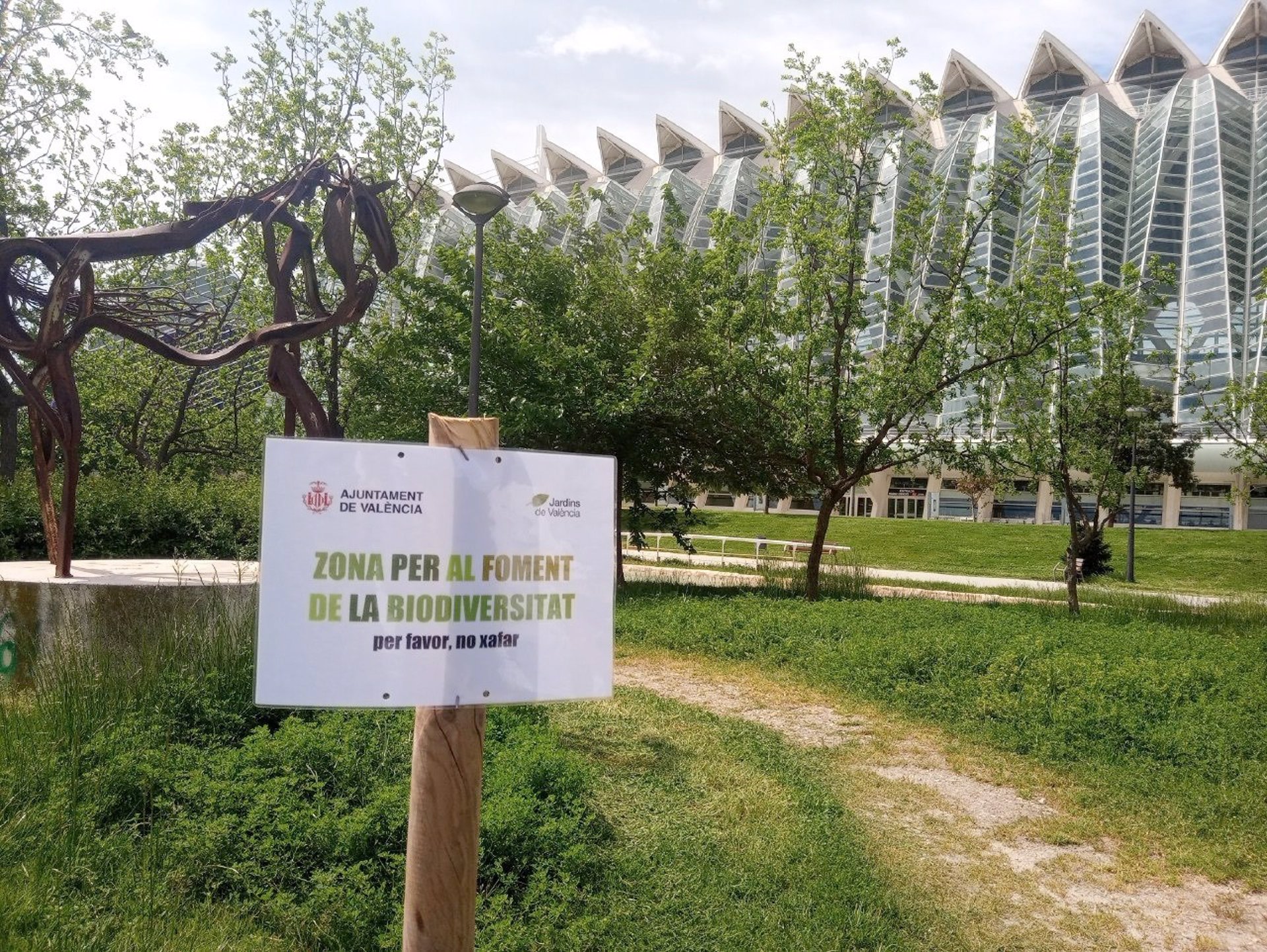 València adjudica provisionalmente la elaboración del plan verde y la biodiversidad por casi 140.000 €
