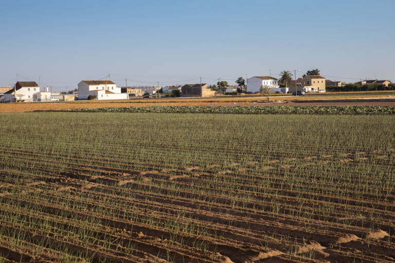 La Comunidad de Usuarios del Carraixet recurrirá el fallo del TEA sobre el canon de vertidos de 2015
