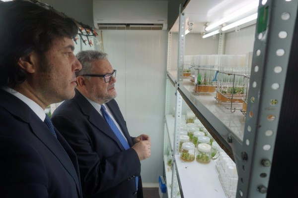 Impulso para que el Cebas sea acreditado como centro nacional de excelencia investigadora