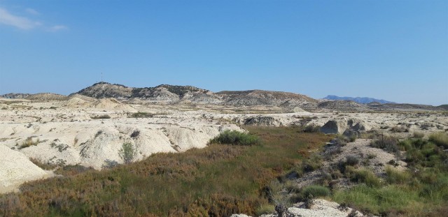 La Región amplía la red de humedales y saladares con fincas en Abanilla, Alhama y Fortuna