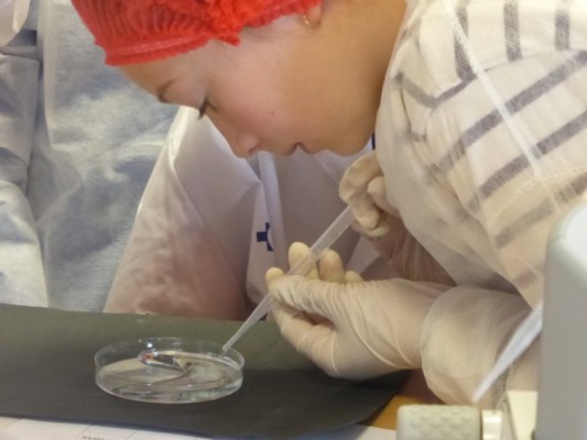 El IMIB lleva la investigación biosanitaria
regional a colegios e institutos
