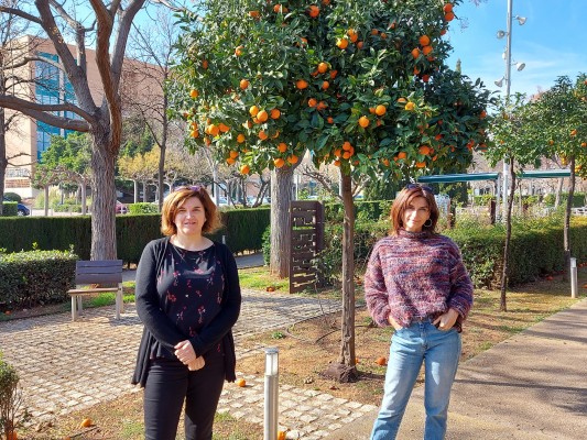 Dos grupos de investigación liderados por mujeres se unen al Instituto de Materiales Avanzados de la UJI