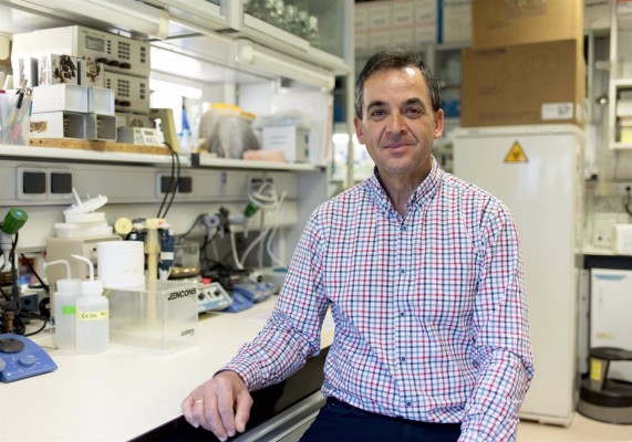 Científicos de Salamanca y Madrid avanzan en la investigación de la leucemia infantil
