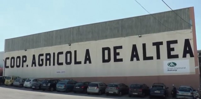 La cooperativa agrícola de Altea ya está en concurso: si no puede saldar sus deudas, irá a liquidación