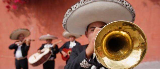 Casi una sicav al día pasó a mejor vida en enero y el número total cayó a mínimos de junio de 2002