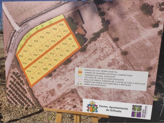 Desempleado, jubilado y prohibido comercializar productos: requisitos para obtener huerto urbano en Orihuela