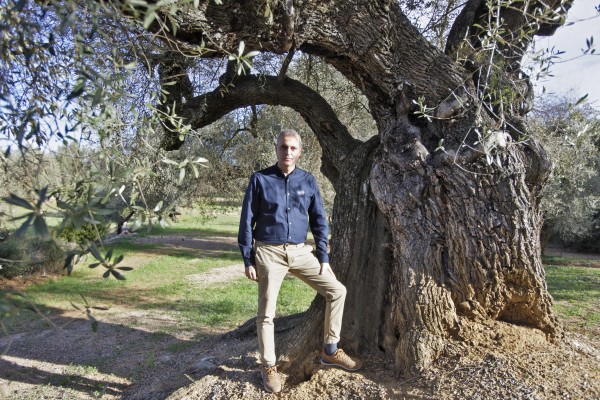 “En El Maestrat se encuentra la mayor concentración de olivos milenarios del mundo”, Pablo Pascual de Finca Varona La Vella