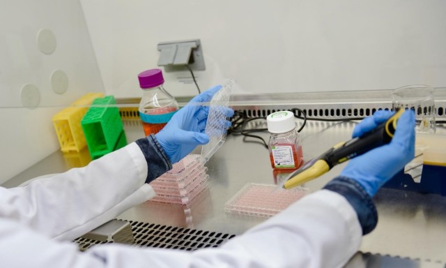 ¿Cómo puede afectar la aparición de variantes de SARS-CoV-2 a la efectividad de las vacunas?