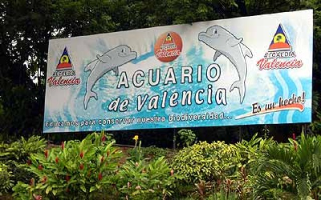 Valencia de Carabobo