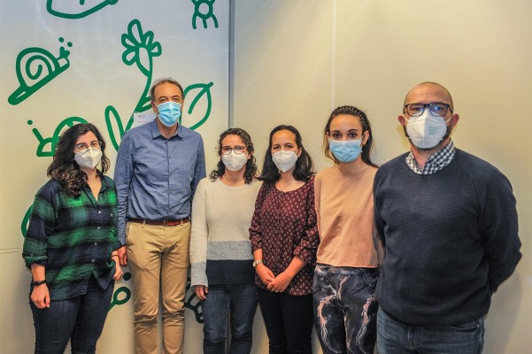 Aplican el 'corta y pega genético' para conseguir plantas 