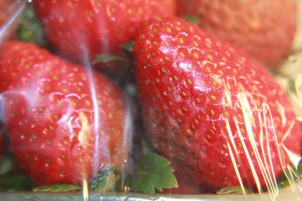 Un consorcio en el que participa la UJI produce una película plástica que elimina el coronavirus