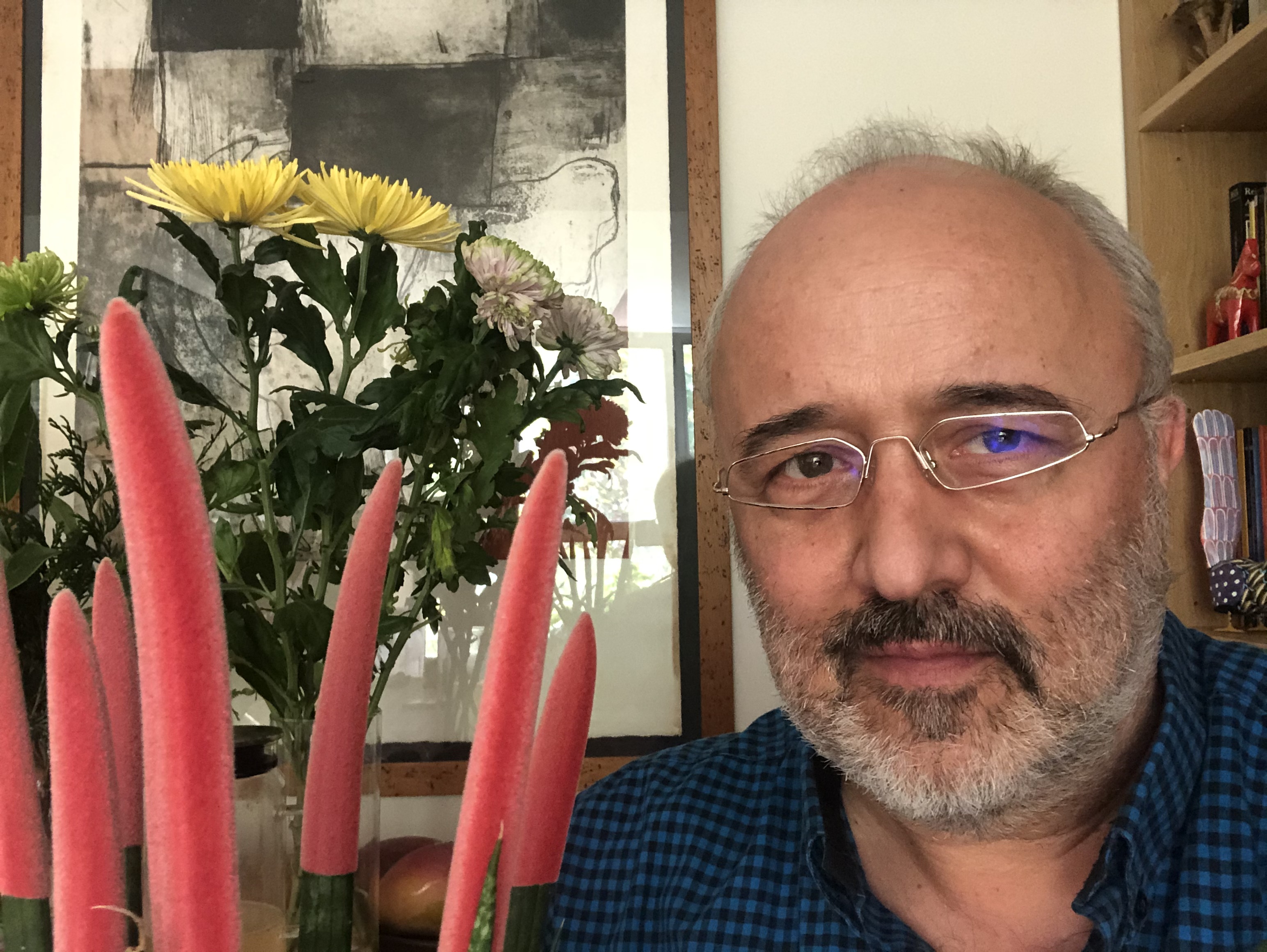 Daniel Cassany: 