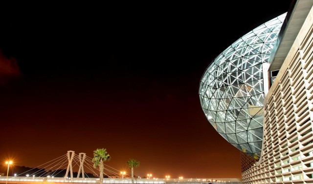 Dos 'startups' alicantinas se cuelan entre las 11 elegidas por Feria Valencia para digitalizarse