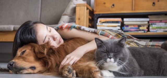 Lanzadera y Nestlé Purina abren nueva convocatoria para apoyar a 'startups' de 'petcare'
