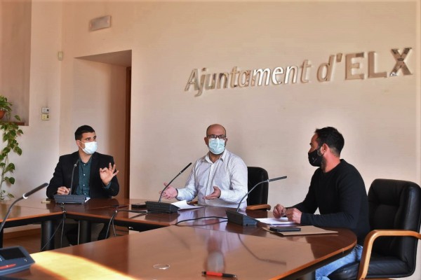 Nace la Asociación de Productores de Dátil de Elche: busca proteger la palmera datilera y promover su cultivo