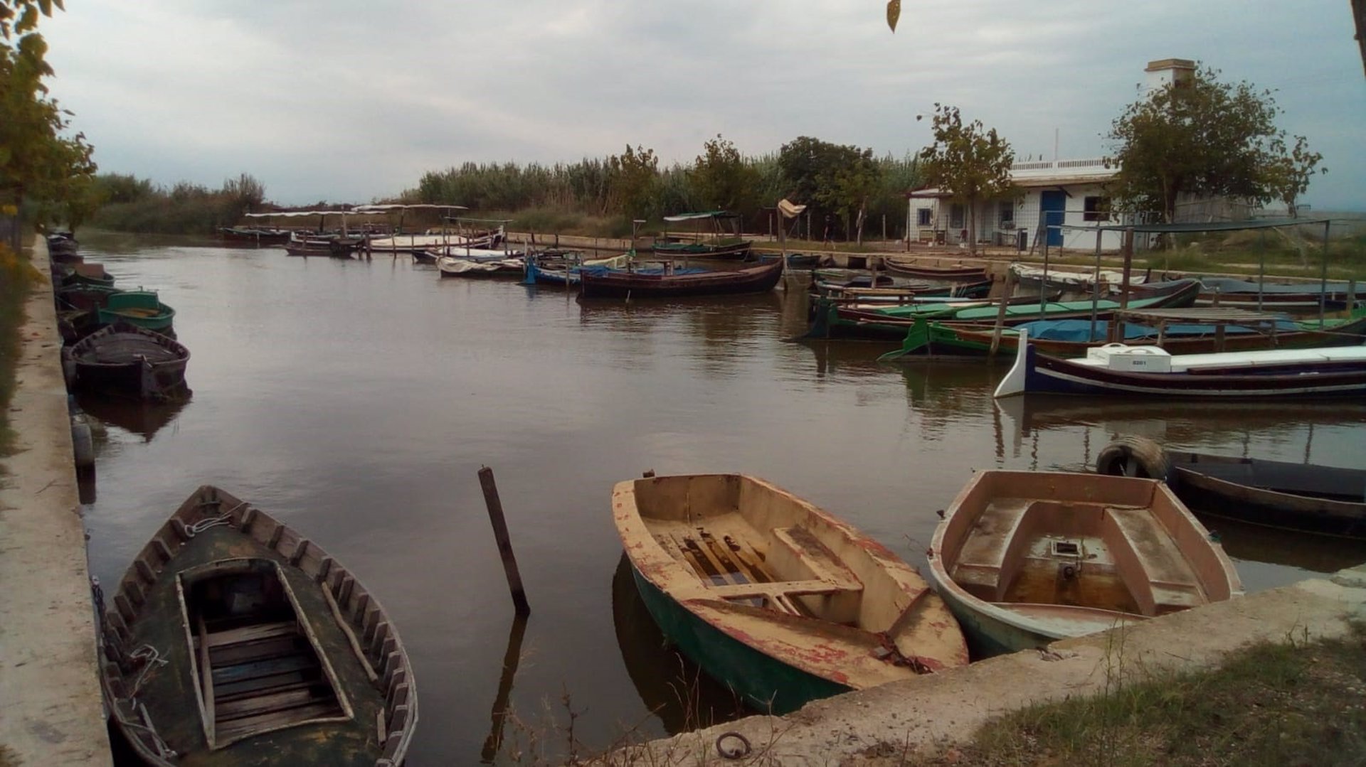 FOTO: AJUNTAMENT DE VALÈNCIA  - 