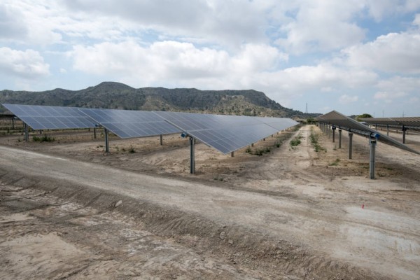 Clere Ibérica proyecta una planta solar de 3,5 MW en Monforte con tres millones de inversión