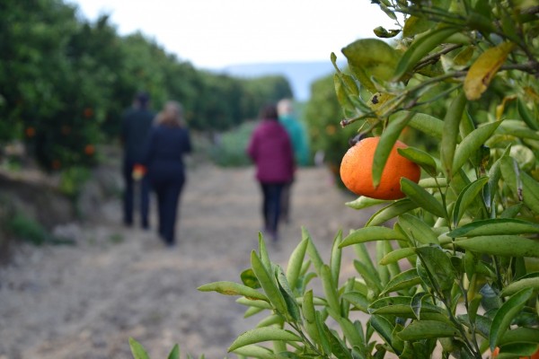 Investigadores de varios países presentan en la UPCT avances en sistemas agroalimentarios sostenibles