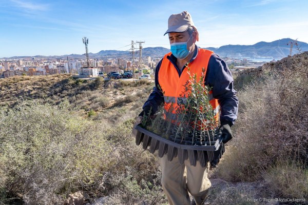 Repsol y el Ayuntamiento de Cartagena reforestarán 17 hectáreas de monte en La Atalaya