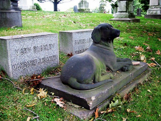 El Campello aprueba la creación de un jardín-cementerio para enterrar a las mascotas