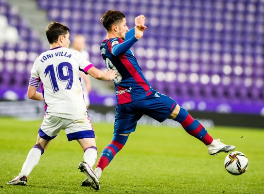 Bardhi: 