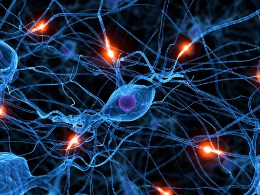 La UA trabaja en un robot para que ayude a personas con daño cerebral adquirido