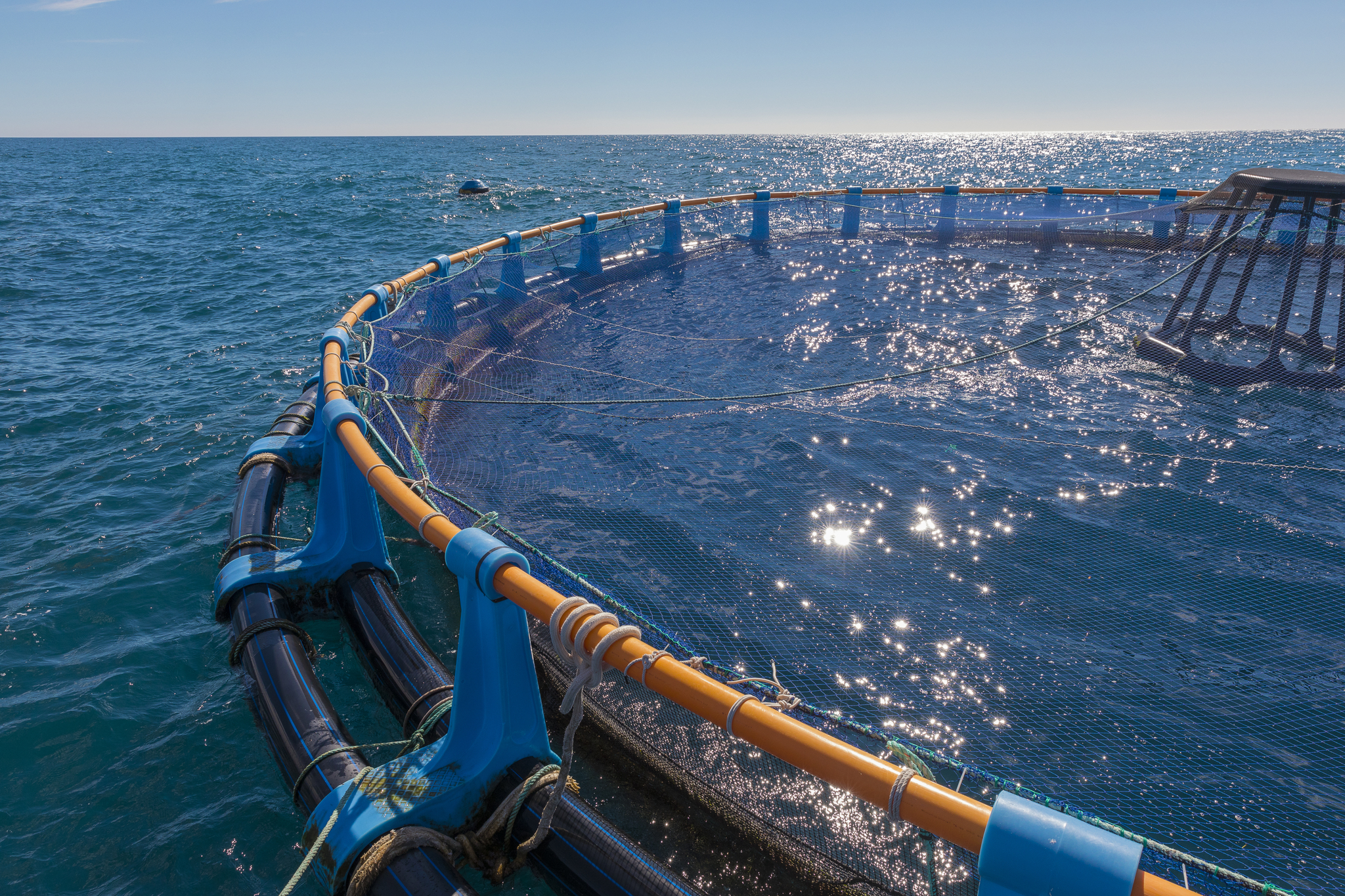 El grupo Andromeda muta y ahora es Avramar: pretende facturar 400 millones en este 2021