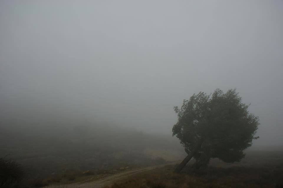 La escarcha de enero