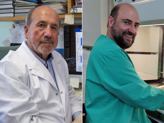 La vacuna del CSIC más adelantada contra la covid-19 muestra una eficacia del 100% en ratones
