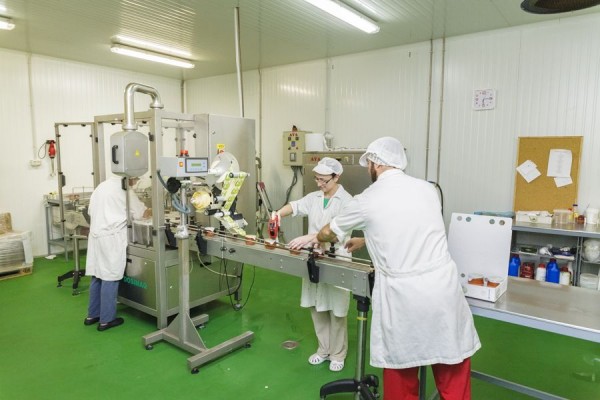 Els Masets o cómo dinamizar la economía de una comarca y hacerlo 'a toda leche'