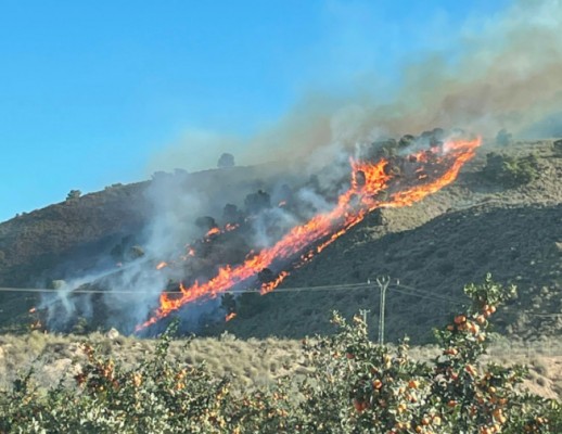 Alarma por un incendio en la Sierra de Carrascoy azuzado por el fuerte viento
