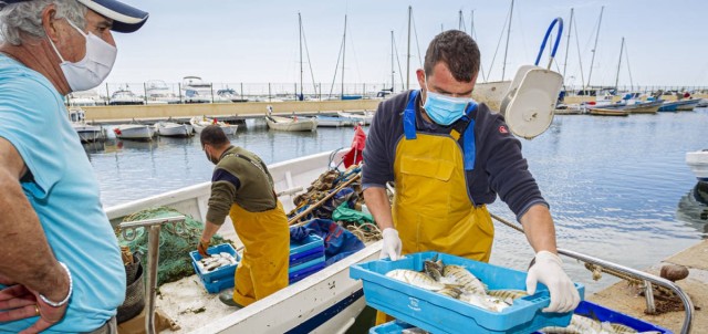 La agricultura y la pesca acentúan su caída: crece su endeudamiento un 3% en 2020