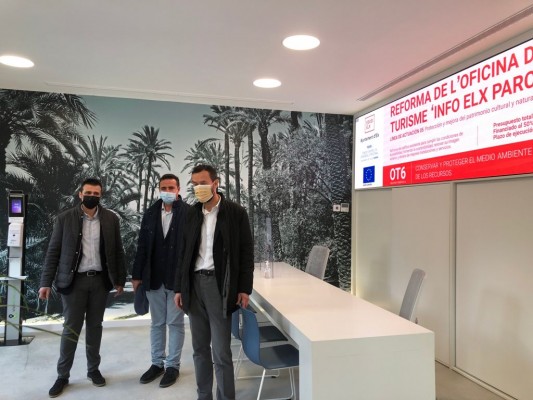 Elche prevé compensar las pérdidas del sector de la palma blanca con ayudas directas o del fondo de la Generalitat