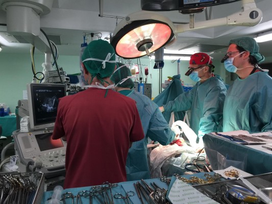 La donación de órganos y los trasplantes cayeron en España durante 2020 debido a la pandemia