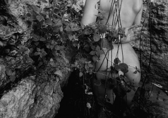 El desnudo en comunión con la naturaleza: Rocío Kunst expone 'About my branches' en la UMU