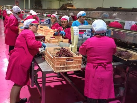 Empresarios murcianos buscan en Ecuador estrechar las relaciones comerciales

