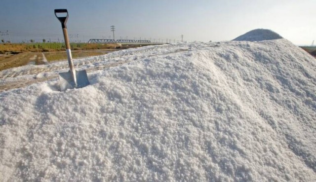Las Salinas de San Pedro del Pinatar venden un 50% más de sal a causa de 'Filomena'