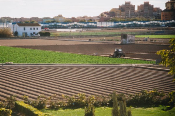 Banco Santander financió al sector agro de la Comunitat con más de 570 millones en 2020