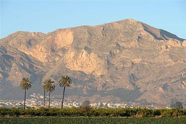 El Consell tramita la declaración de zona de especial conservación la sierra de Orihuela, Callosa y Crevillent