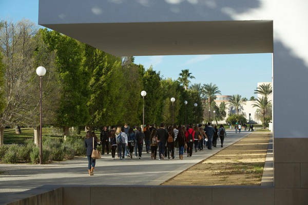 Dos tercios de las pruebas de evaluación de la convocatoria  C2 en la
UA serán online