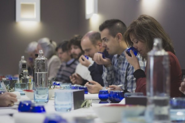 Organizan el I Concurso de aceites de oliva virgen extra ecológicos de la Comunitat Valenciana
