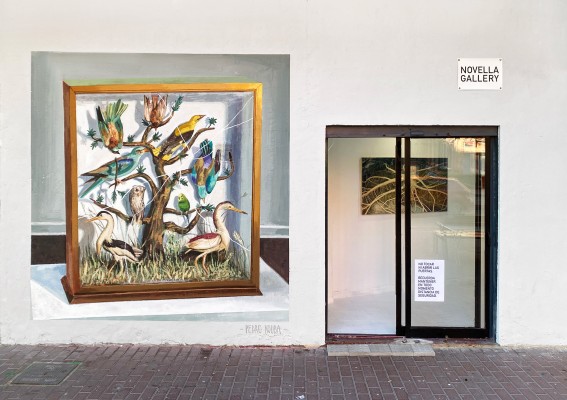 Novella Gallery: una pequeña ventana al arte contemporáneo desde Sagunto