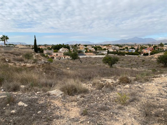 El albergue animal de San Vicente podría ubicarse en Los Girasoles pese al desacuerdo del vecindario
