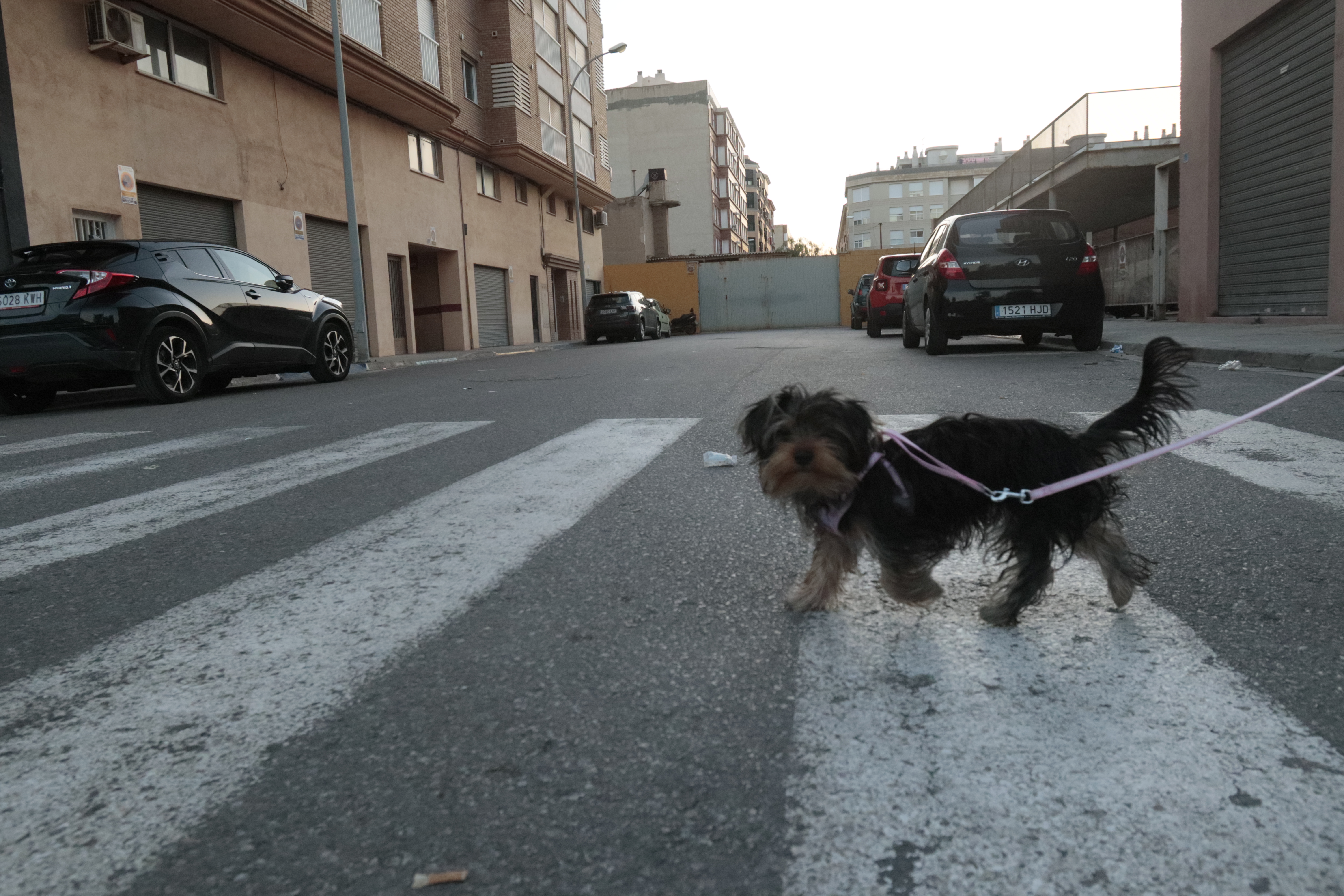 Vila-real asiste a un primer avance para la futura apertura de calles del entorno urbano de Herarbo